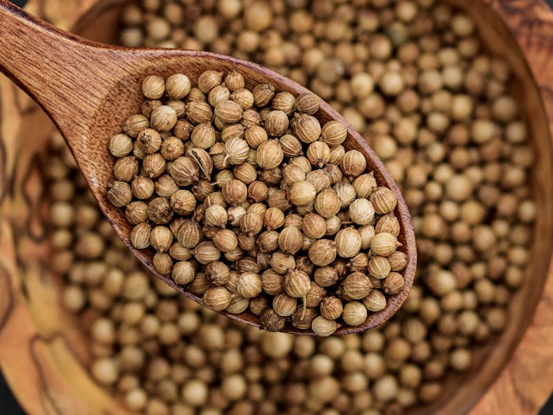 Coriander